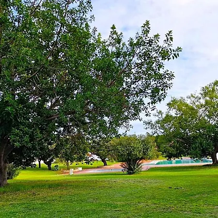 Well Located Flat At Oura Appartamento